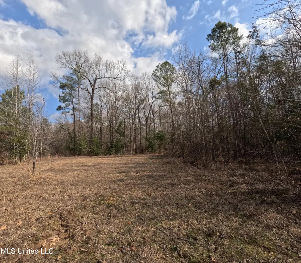 Rockport New Hebron Road New Hebron, MS 39140