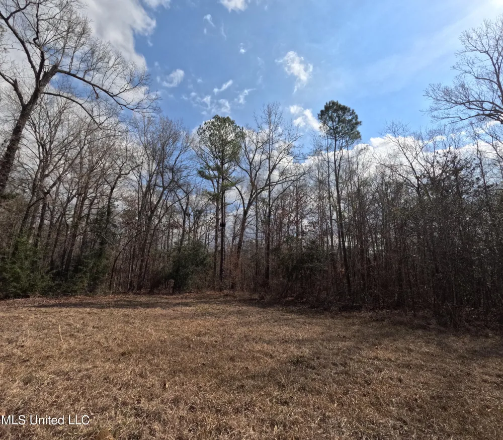 Rockport New Hebron Road New Hebron, MS 39140