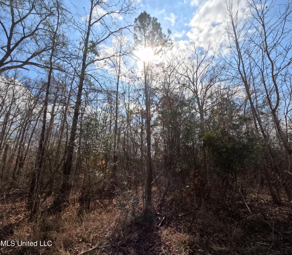 Rockport New Hebron Road New Hebron, MS 39140