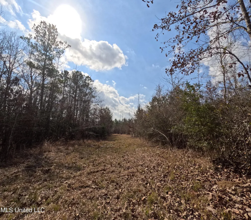 Rockport New Hebron Road New Hebron, MS 39140