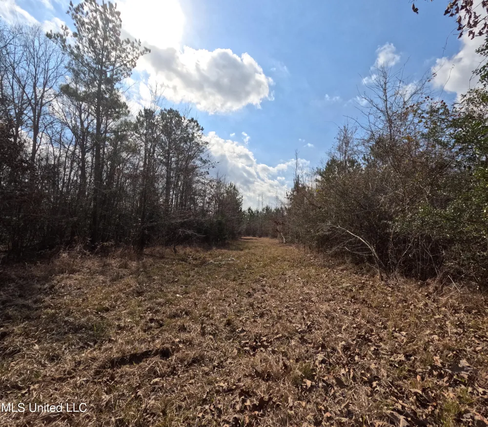 Rockport New Hebron Road New Hebron, MS 39140