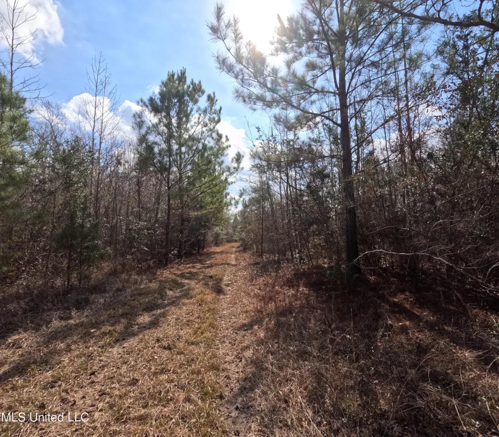 Rockport New Hebron Road New Hebron, MS 39140