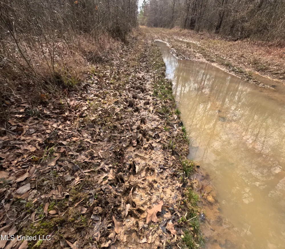 Rockport New Hebron Road New Hebron, MS 39140
