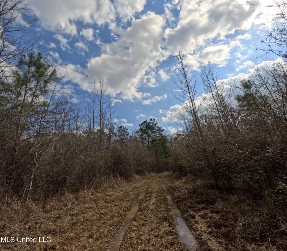 Rockport New Hebron Road New Hebron, MS 39140