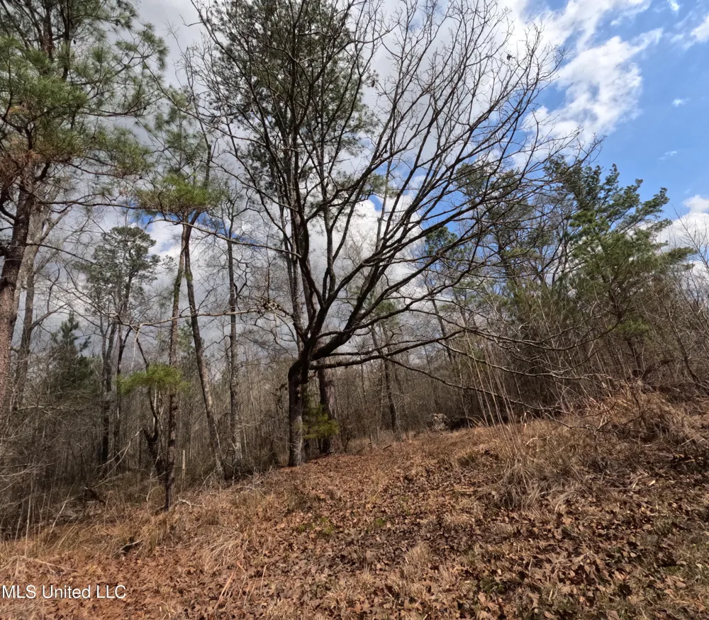 Rockport New Hebron Road New Hebron, MS 39140