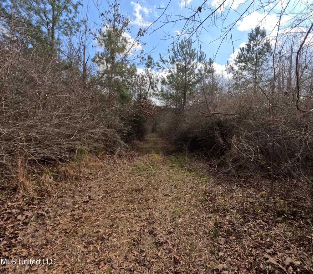 Rockport New Hebron Road New Hebron, MS 39140