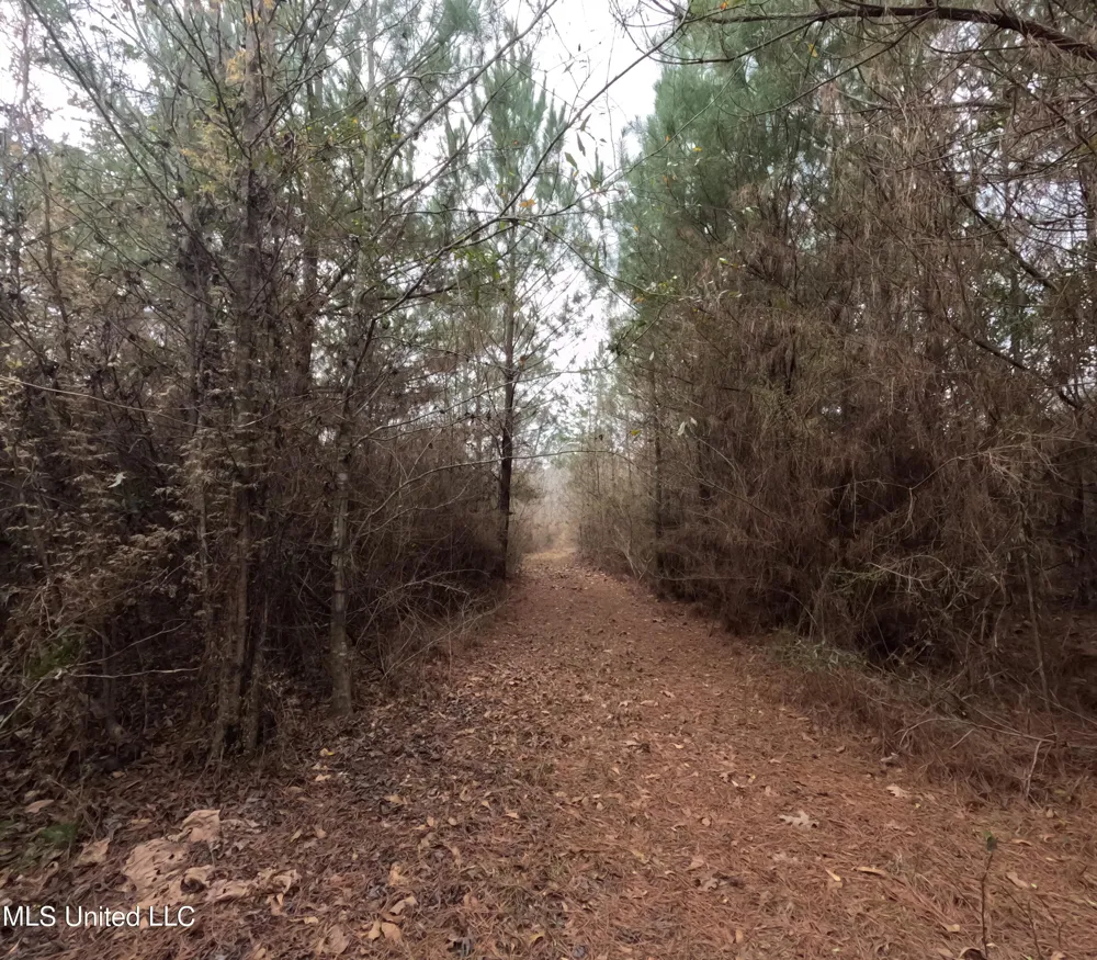 Rockport New Hebron Road New Hebron, MS 39140