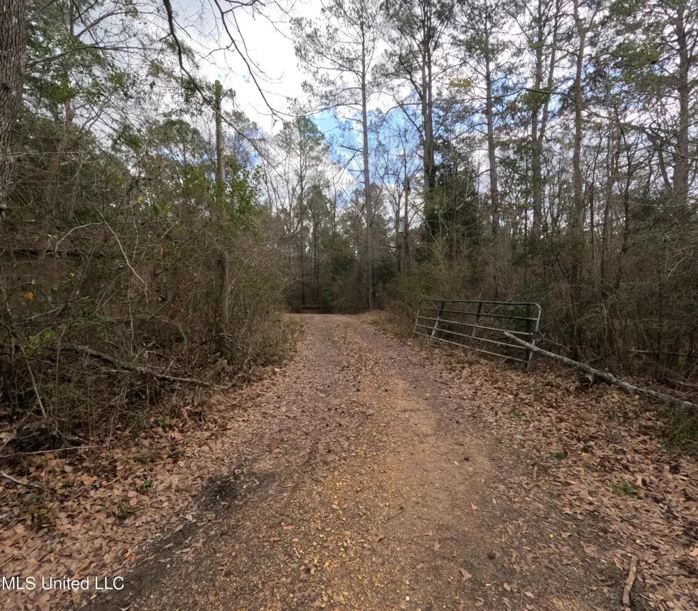 Rockport New Hebron Road New Hebron, MS 39140