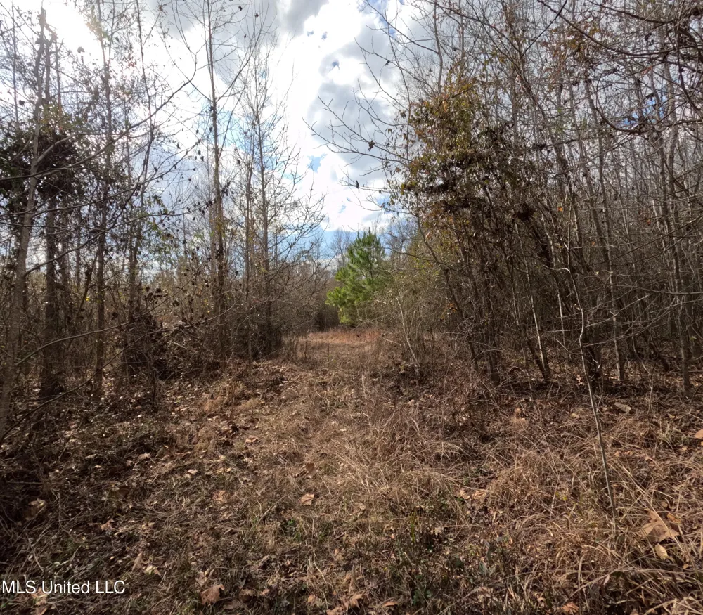 Rockport New Hebron Road New Hebron, MS 39140