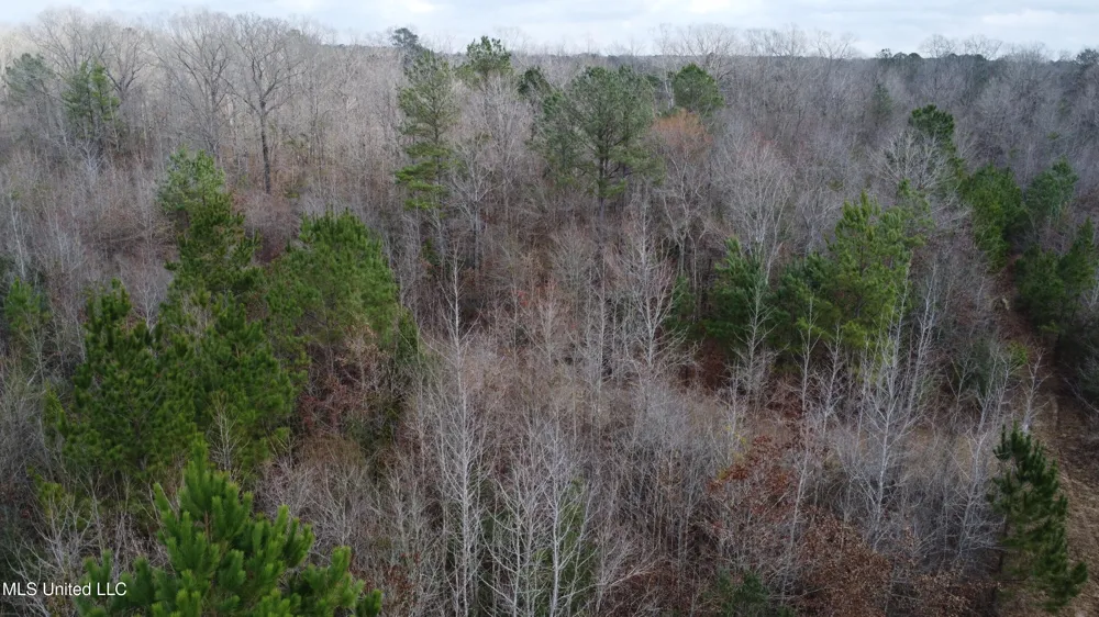 Rockport New Hebron Road New Hebron, MS 39140