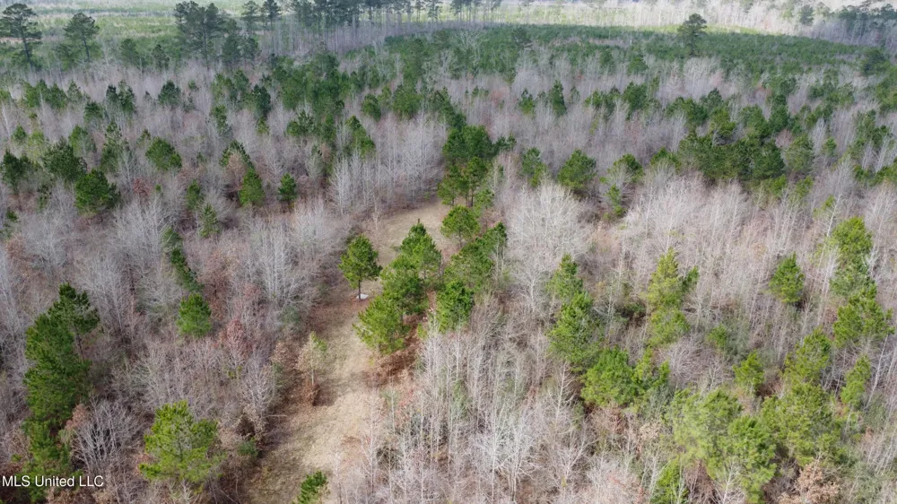 Rockport New Hebron Road New Hebron, MS 39140