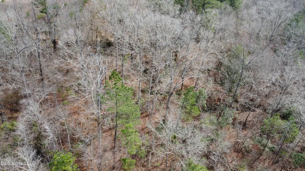Rockport New Hebron Road New Hebron, MS 39140