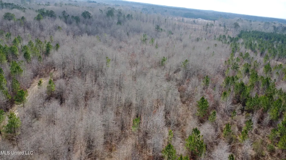 Rockport New Hebron Road New Hebron, MS 39140