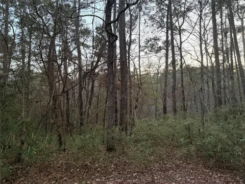 94 Green Tree Drive