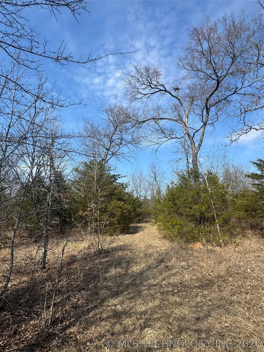 E 1931 ROAD Antlers, OK 74523
