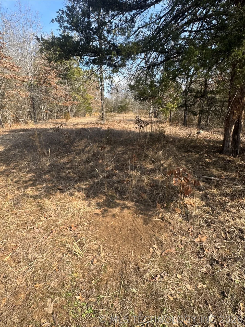 E 1931 ROAD Antlers, OK 74523