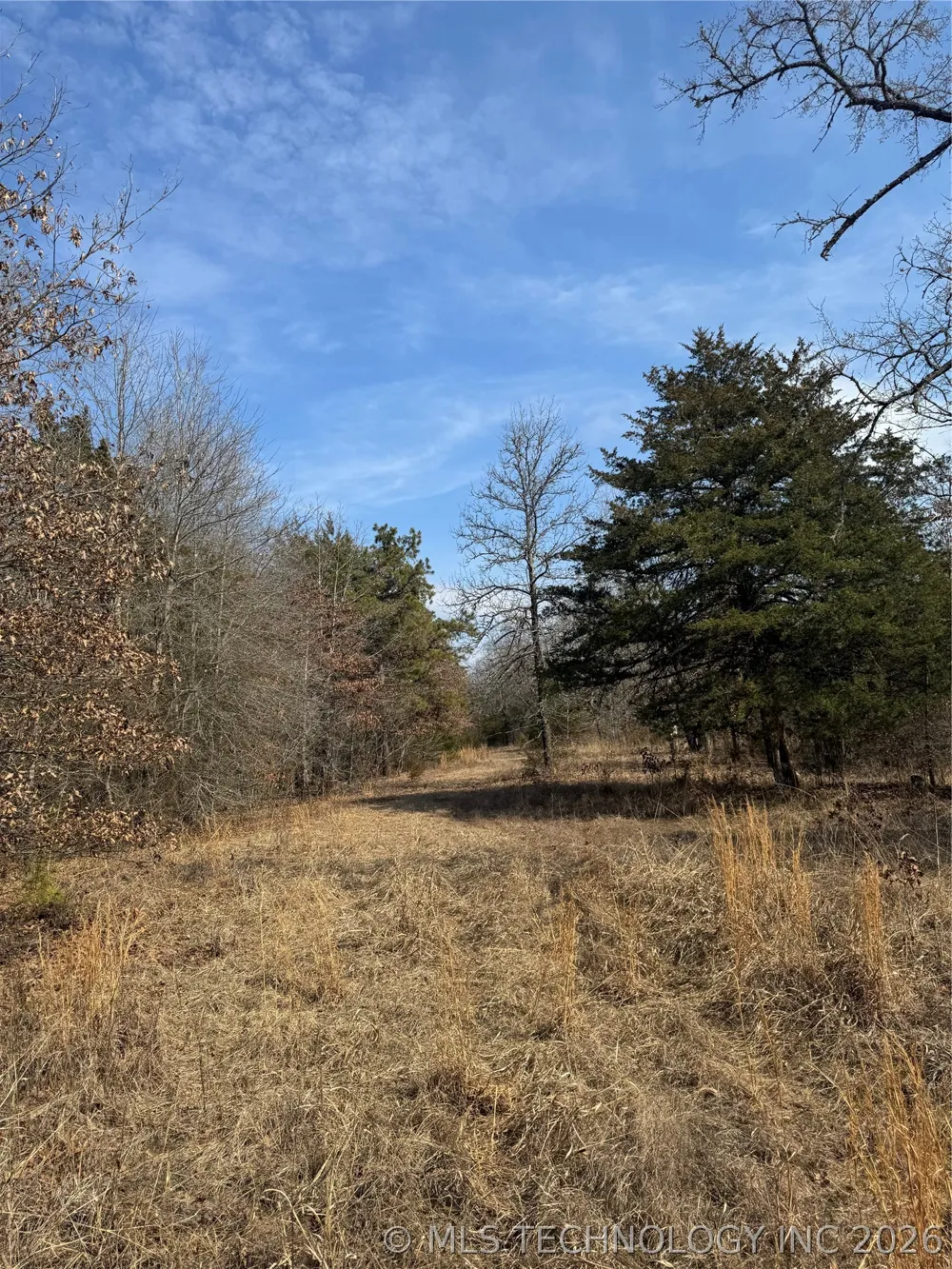 E 1931 ROAD Antlers, OK 74523