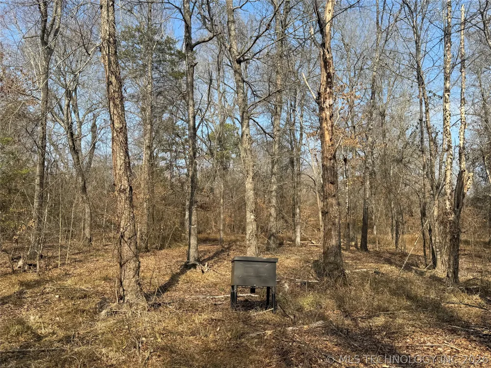 E 1931 ROAD Antlers, OK 74523