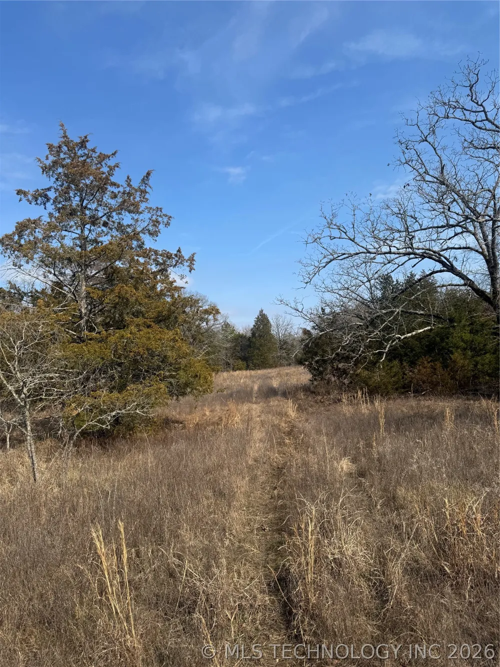 E 1931 ROAD Antlers, OK 74523
