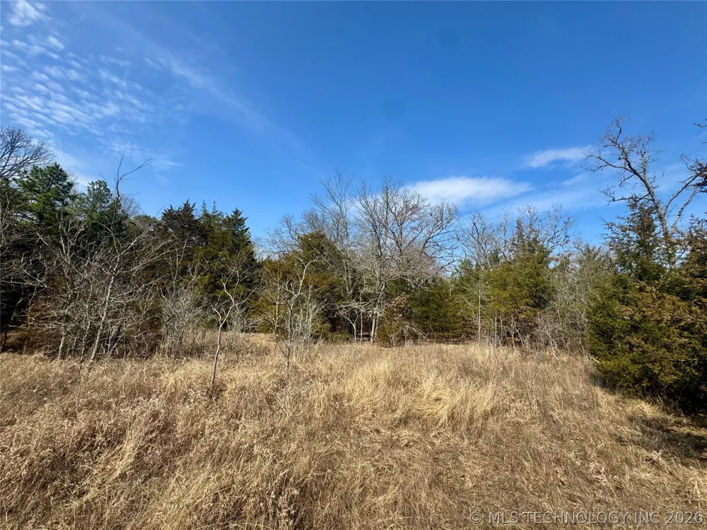 E 1931 ROAD Antlers, OK 74523