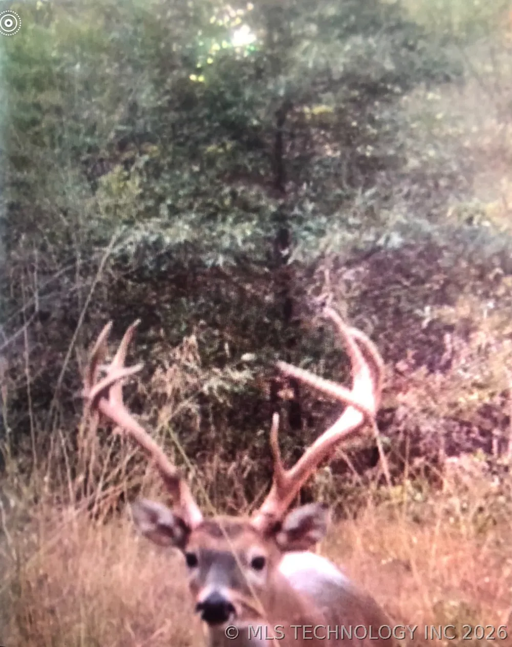 E 1931 ROAD Antlers, OK 74523