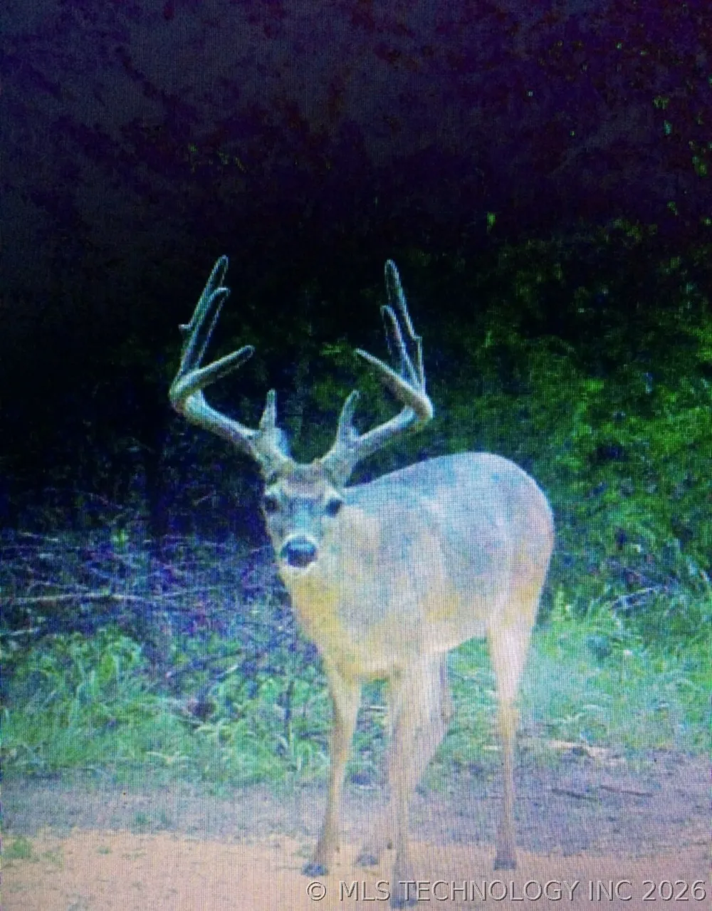 E 1931 ROAD Antlers, OK 74523