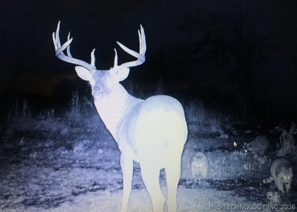 E 1931 ROAD Antlers, OK 74523