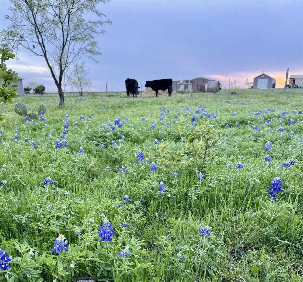 2332 County Road 2109 Lometa, TX 76853