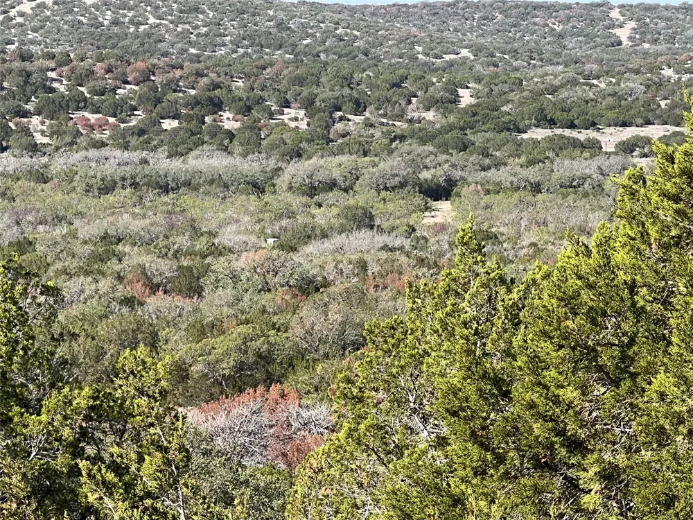 County Road 450 Rocksprings, TX 78880
