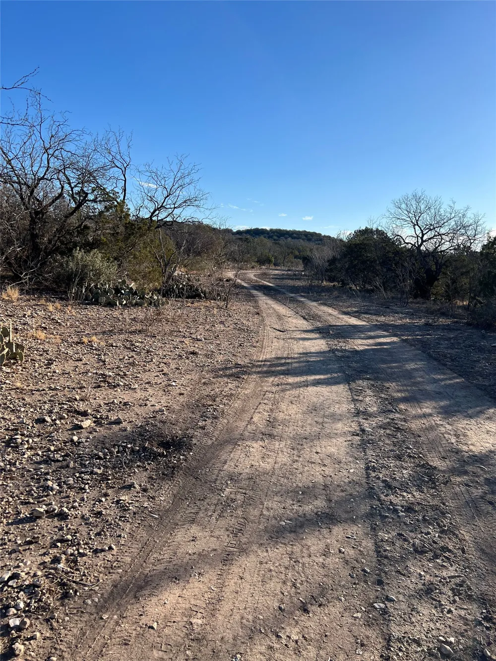 County Road 450 Rocksprings, TX 78880
