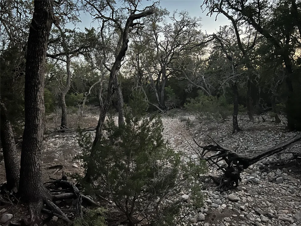 County Road 450 Rocksprings, TX 78880