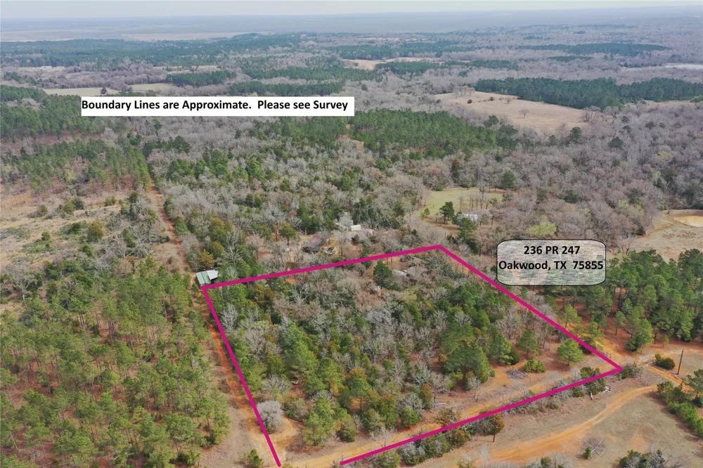 233 PR 247 Oakwood, TX 75855
