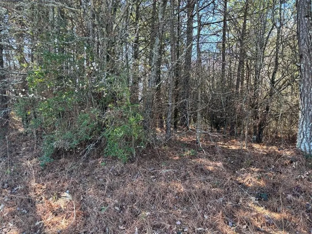 2515 Eastgate Place Snellville, GA 30078