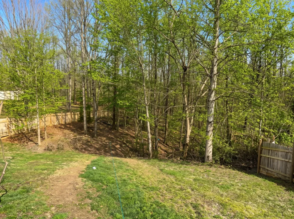 225 Lake Forrest Rd Lynchburg, TN 37352