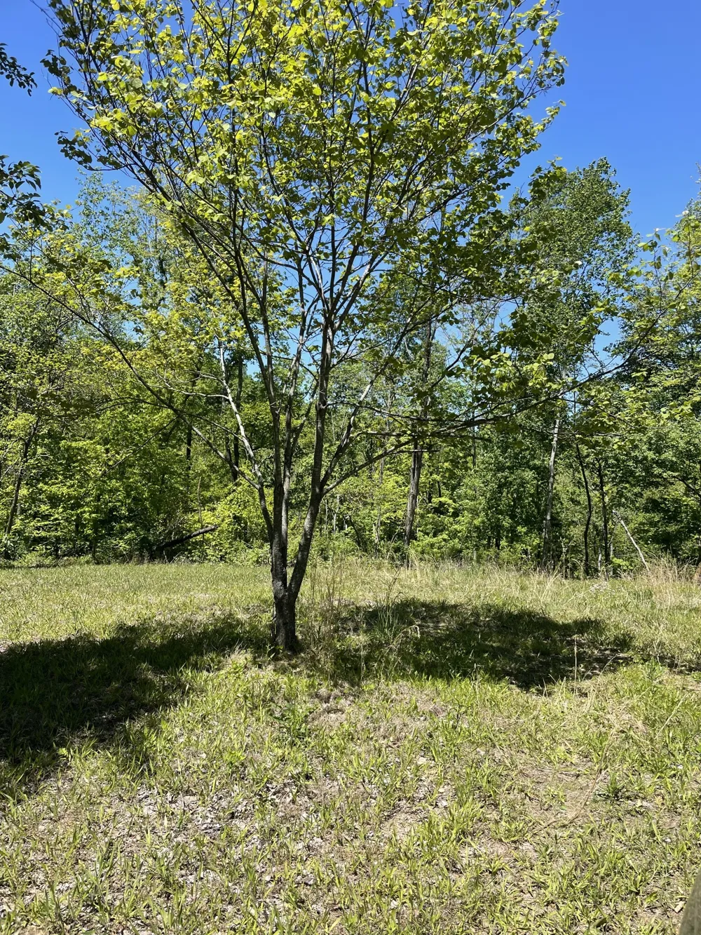 0 Highway 52 W Lafayette, TN 37083
