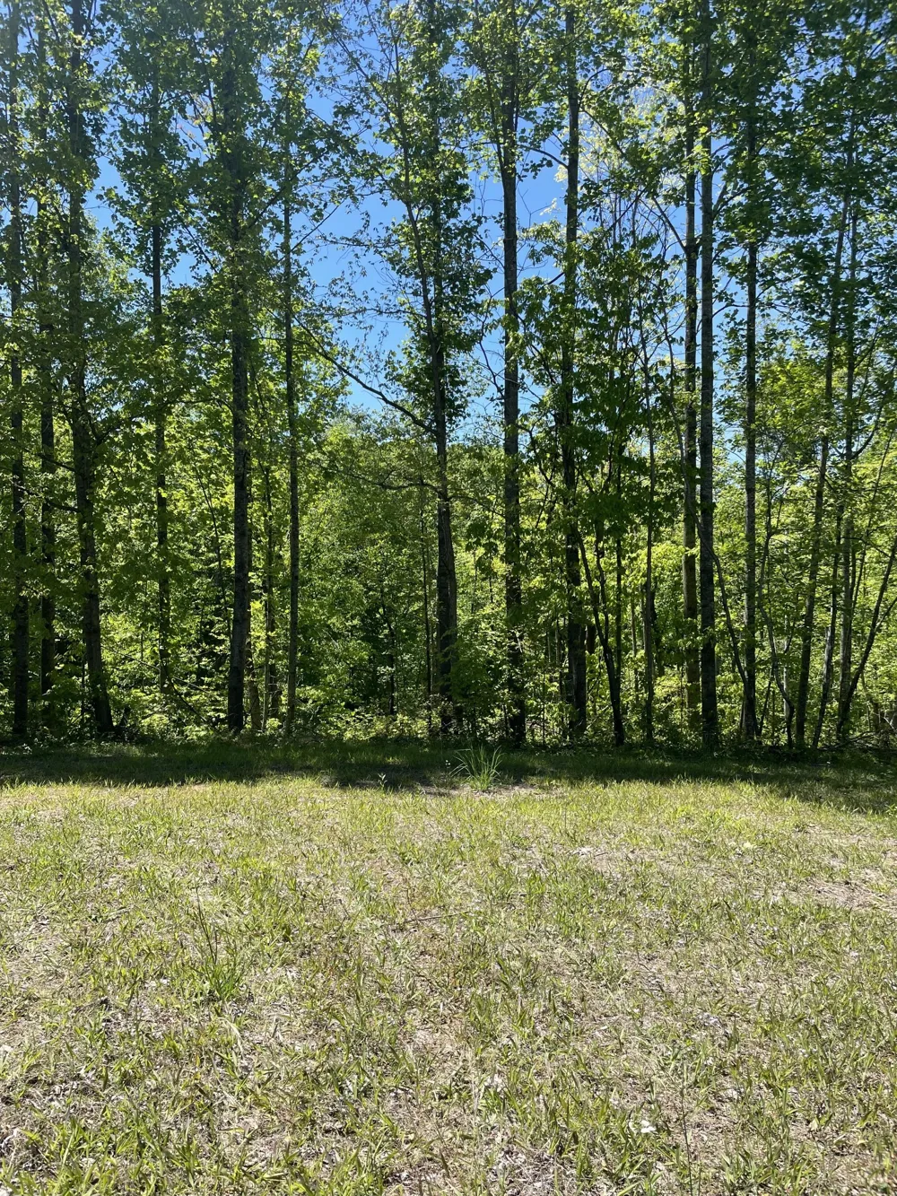 0 Highway 52 W Lafayette, TN 37083