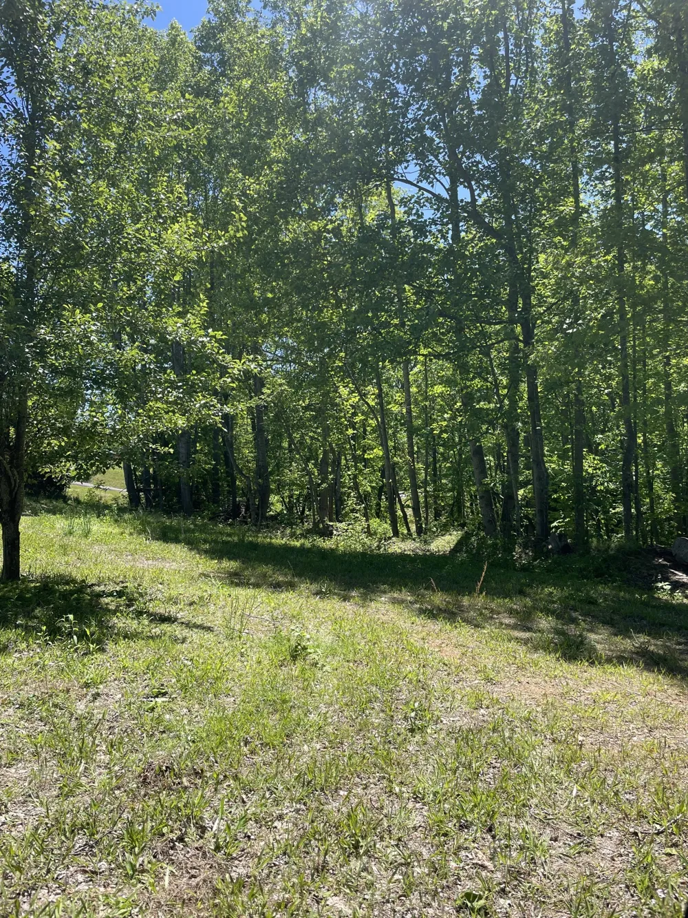 0 Highway 52 W Lafayette, TN 37083