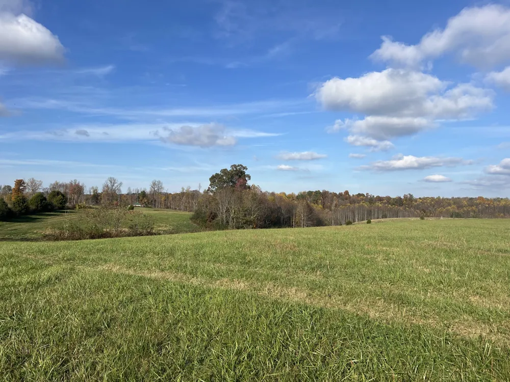 1234 Old Highway 52 Lafayette, TN 37083