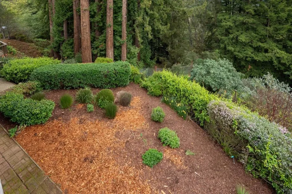 645 Skyward Drive Aptos, CA 95003