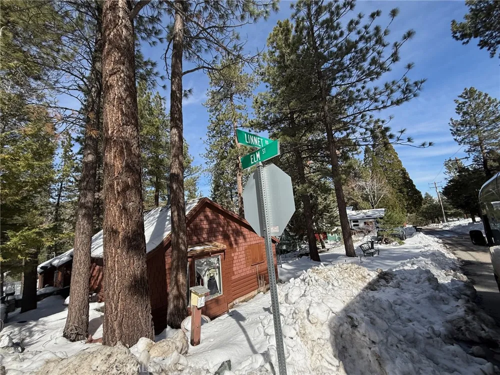 Linnet Road Wrightwood, CA 92397