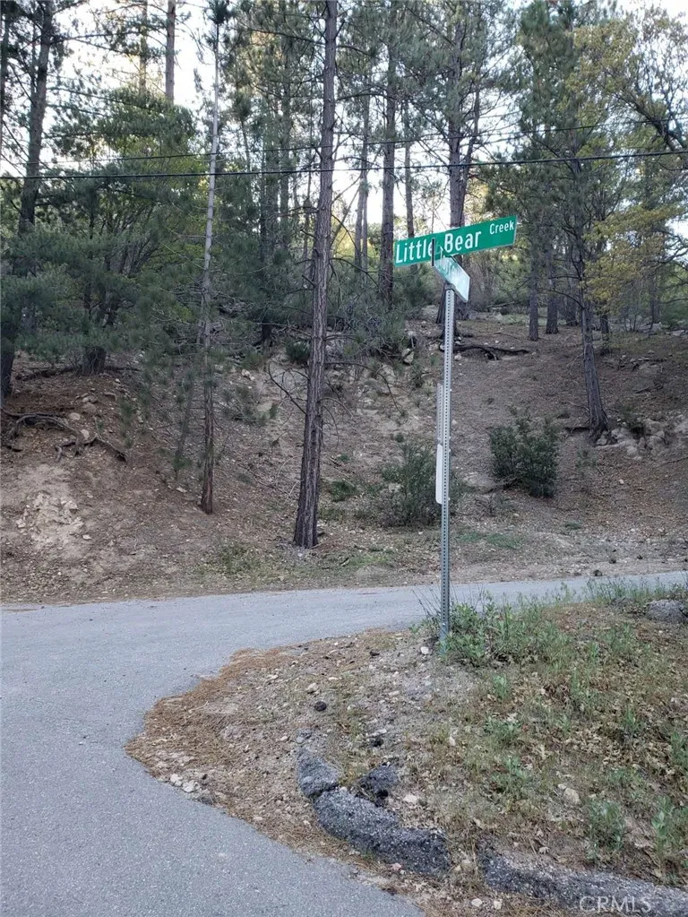 29531 Little Bear Creek Road Cedar Glen, CA 92321