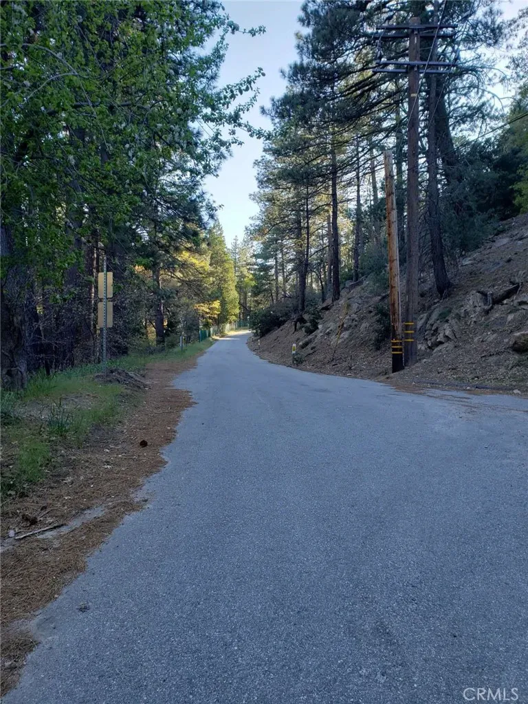 29531 Little Bear Creek Road Cedar Glen, CA 92321