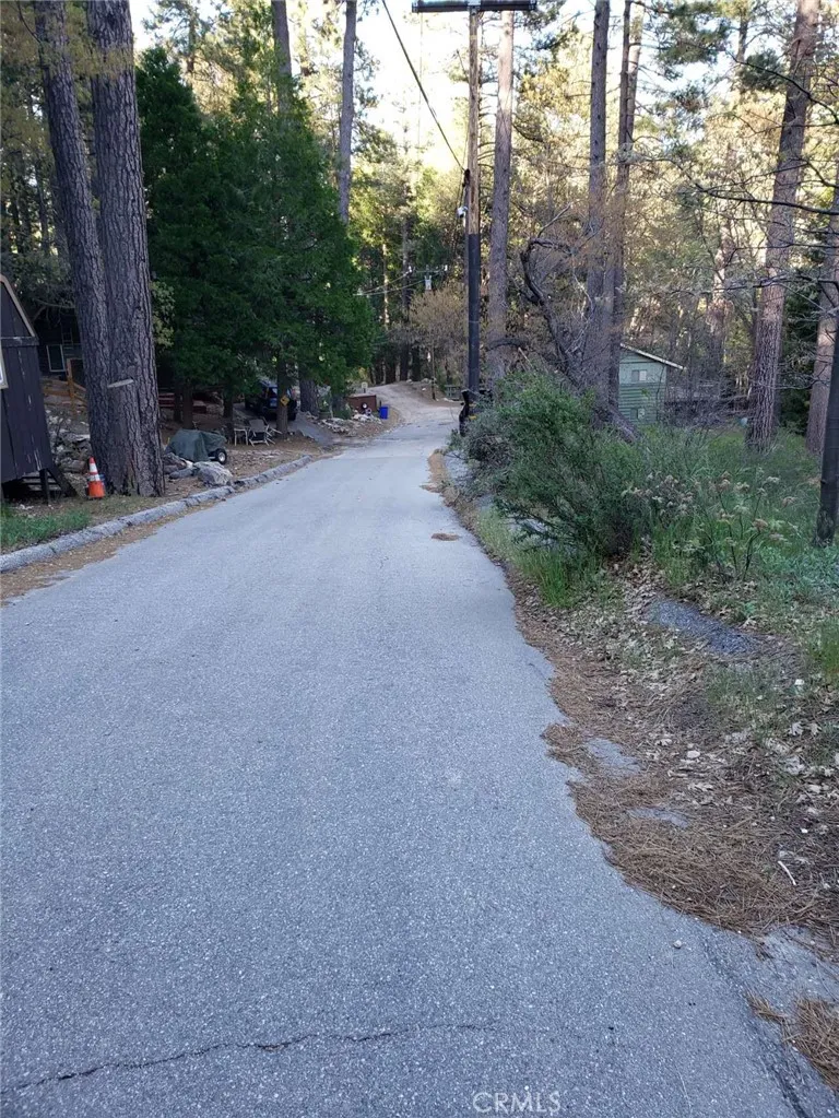 29531 Little Bear Creek Road Cedar Glen, CA 92321