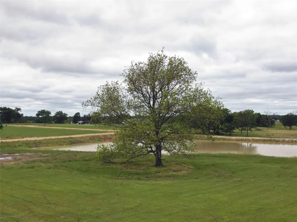FM 514 ROAD Yantis, TX 75497