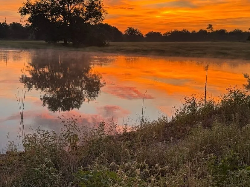 FM 514 ROAD Yantis, TX 75497