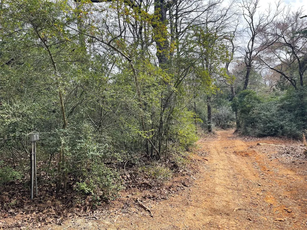 233 Private Road 247 Oakwood, TX 75855
