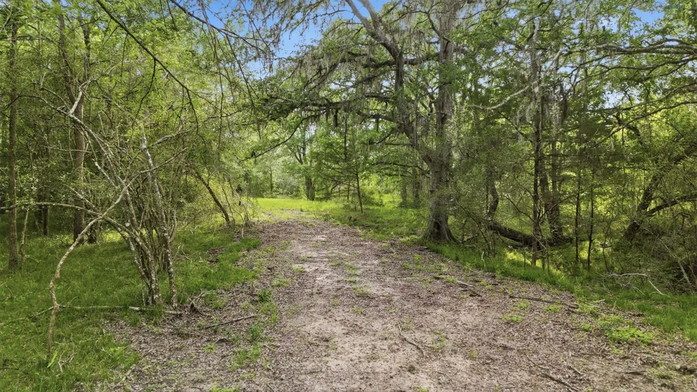 1165 Cr 213 Weimar, TX 78962