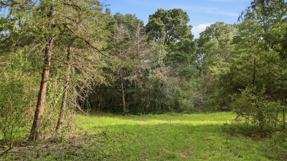 1165 Cr 213 Weimar, TX 78962