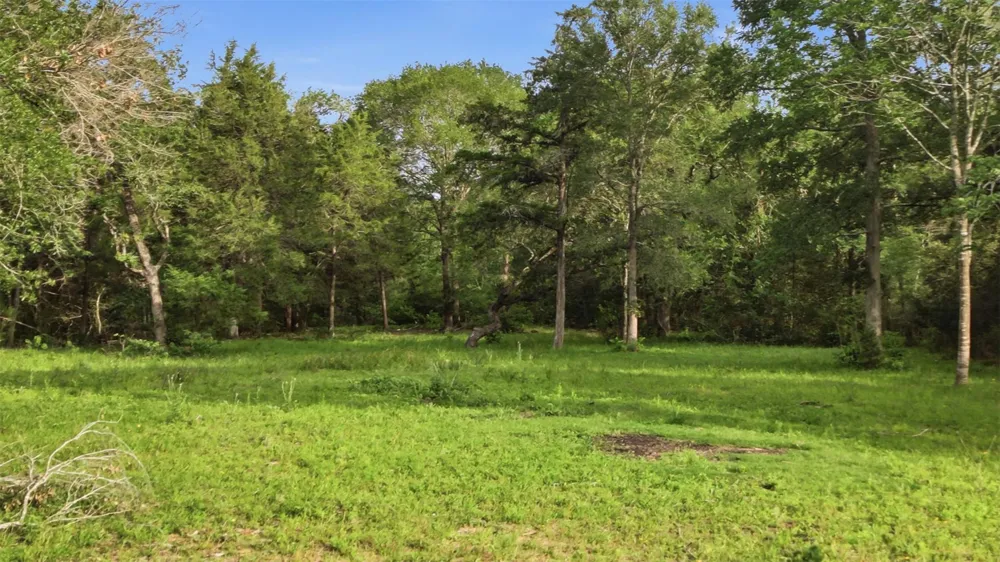 1165 Cr 213 Weimar, TX 78962