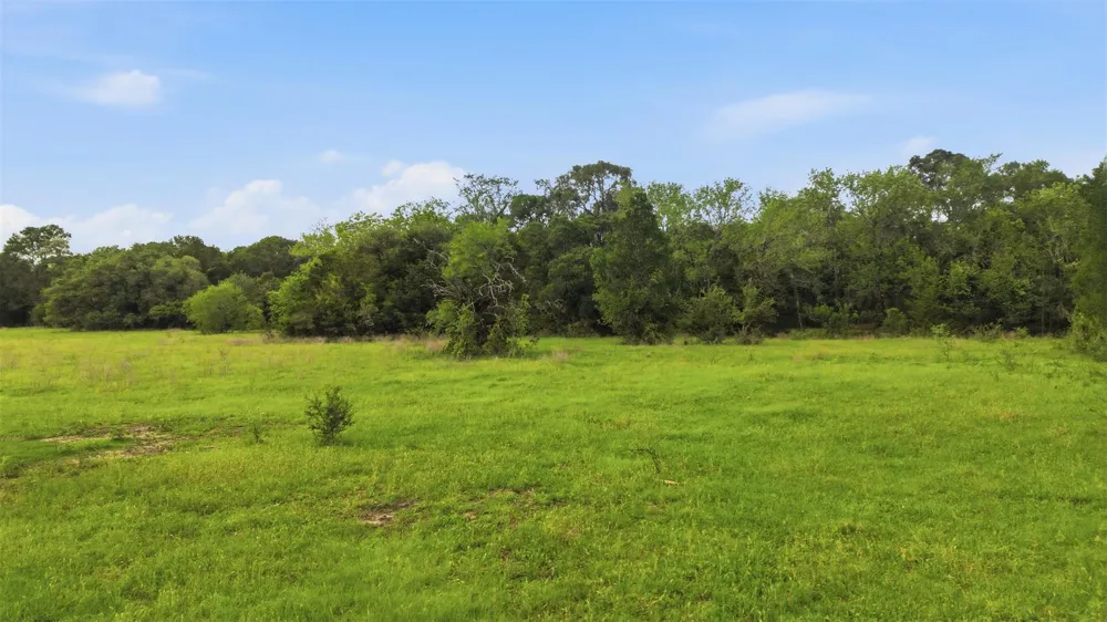 1165 Cr 213 Weimar, TX 78962